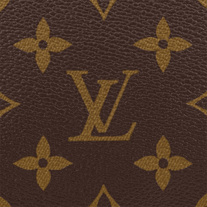Louis Vuitton Strap: Removable, adjustable